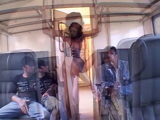 DP Latex Queen Euro Dominates